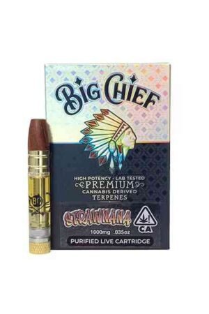Big Chief CDT Cartridges 1G - Strawnana
