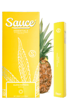 Aloha Express - 1G Live Resin Infused (Sativa)