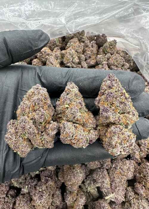 dante's inferno strain