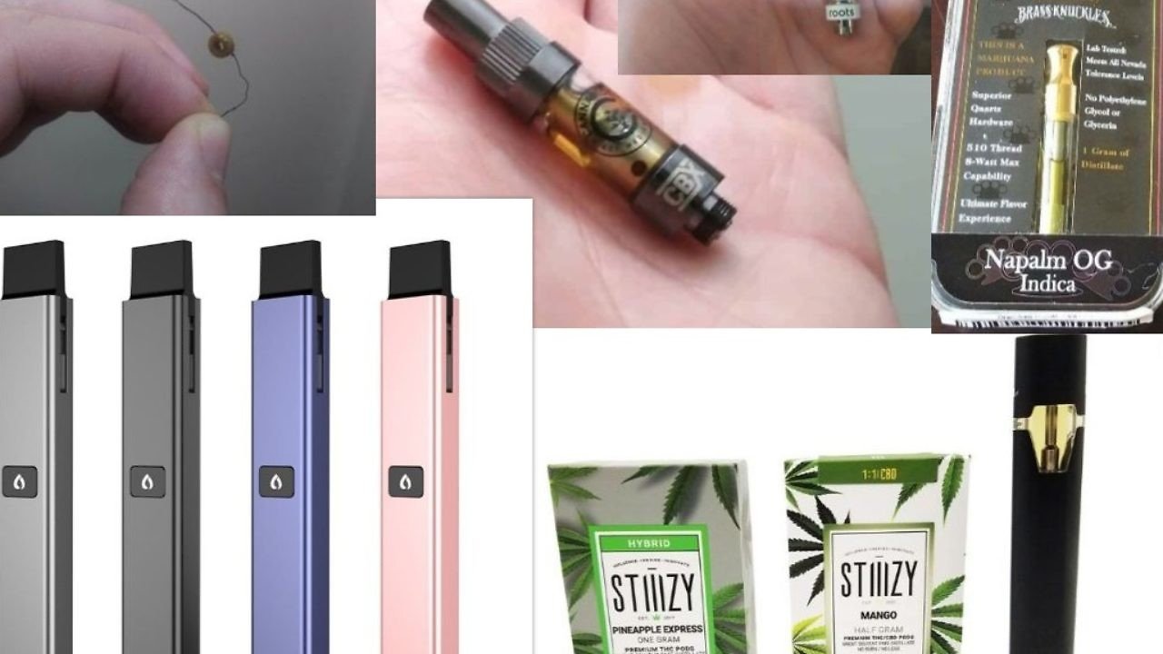 best disposable vape 2024