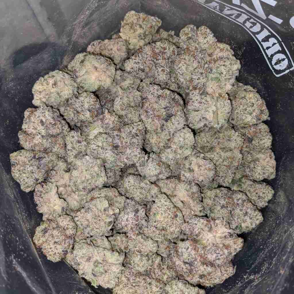 White Cherry Gelato Backpack Boyz - Image 2